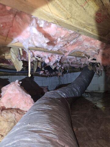 Crawl Space Problems