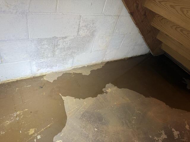 Efflorescence on the Walls from Moisture