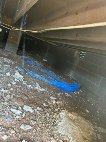 Crawl Space During Inspection