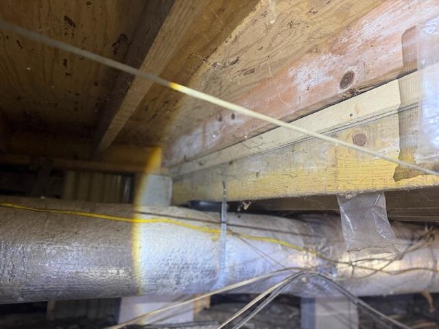 Mold on Floor Joists