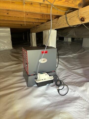 SaniDry Sedona Dehumidifier