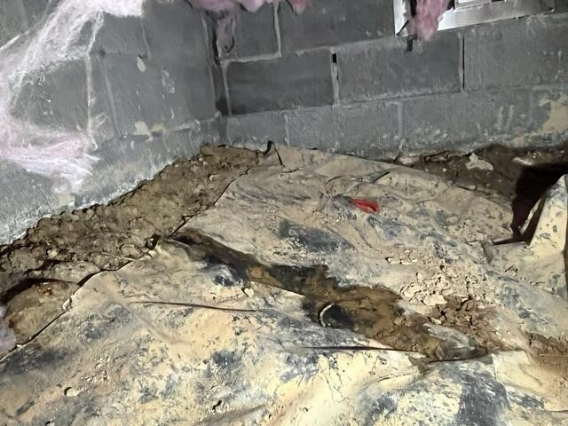 Crawl Space During Inspection