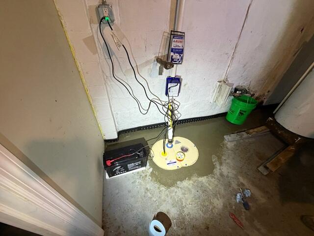 TripleSafe Sump Pump