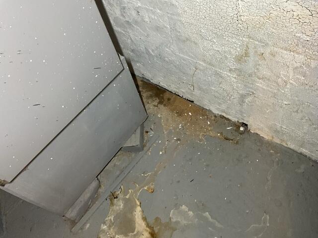 Signs of Water Damage