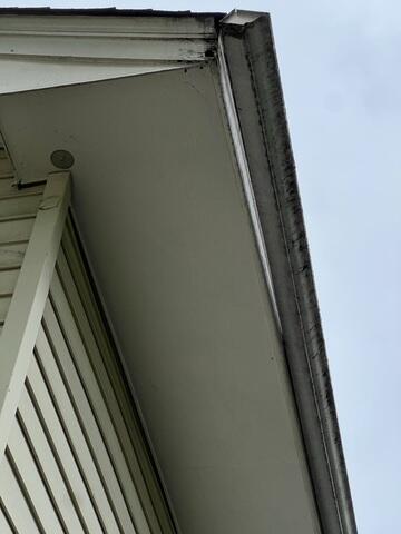 Back of house gutter damage