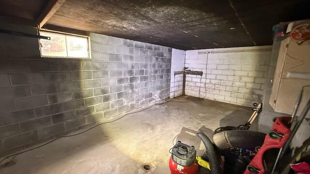 Basement Before