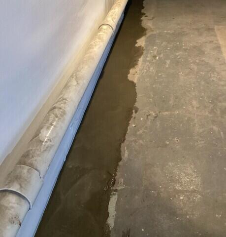 WaterGuard Drainage System