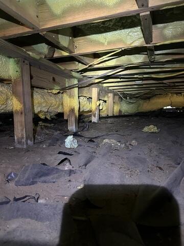 Nasty Crawl Space