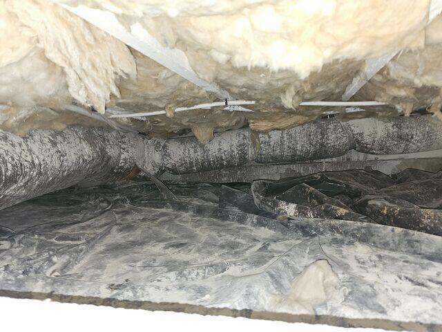 Dirty, Nasty Crawl Space