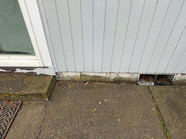 Foundation Wall Crack