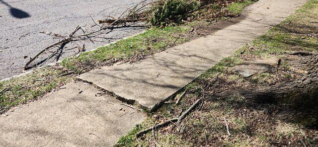 Cracked Sidewalk