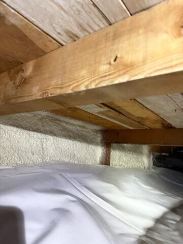 Spray Foam