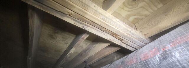 Mold Removal with Soda Blasting