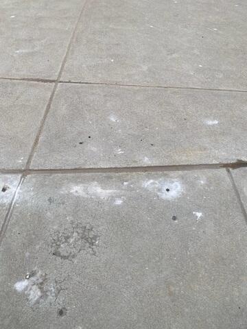 Concrete Driveway Repair & Leveling