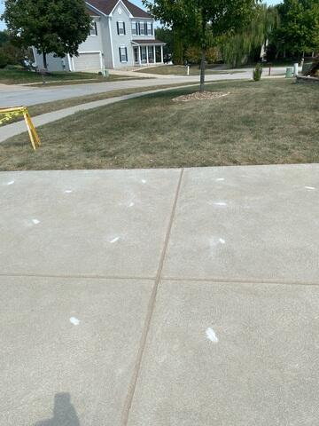 Concrete Driveway Repair & Leveling