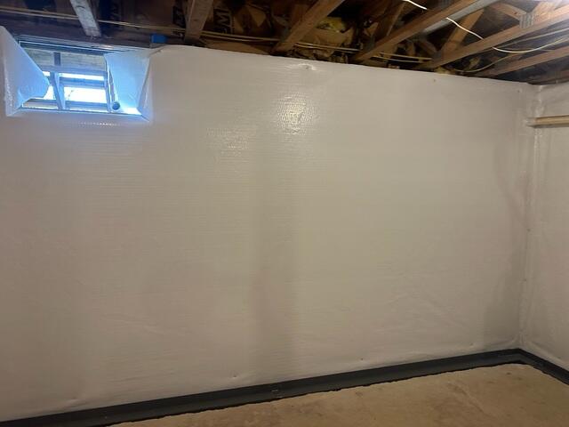 CleanSpace