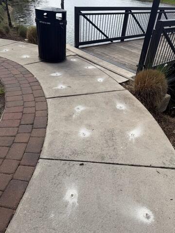 PolyLevel Injections