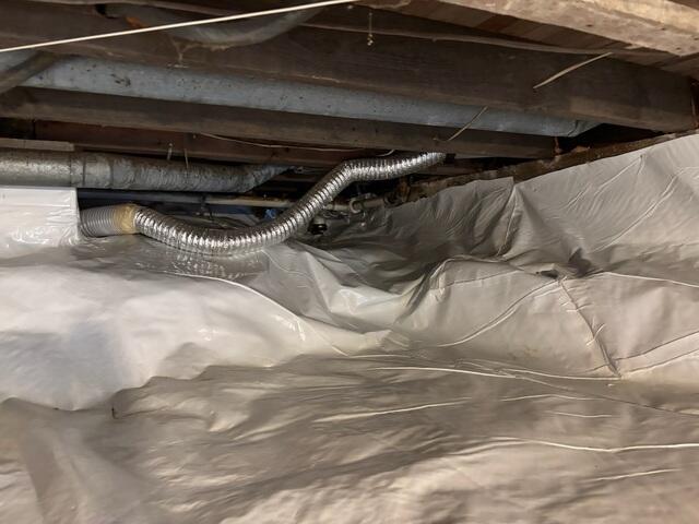 Crawl Space After 2