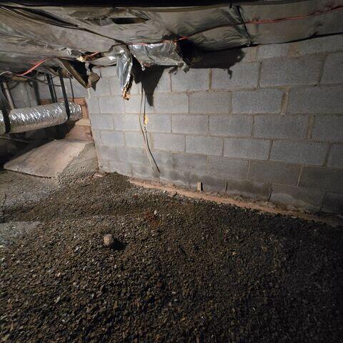 Crawl Space before