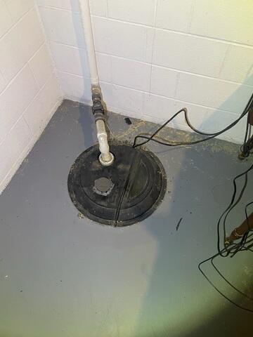Original Sump Pump