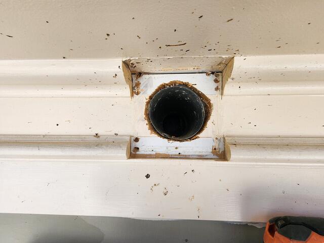 Starlings Inside the Exhaust Vents