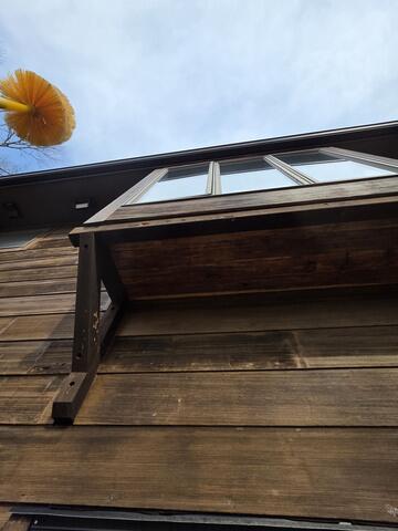 Plan to Eradicate the Carpenter Bees