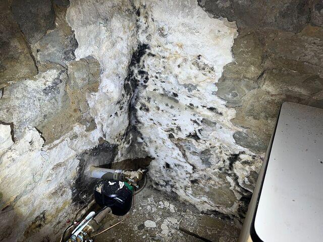 basementmold