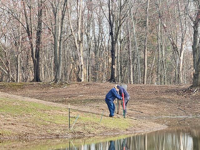 Stainless Steel Grid Wire
