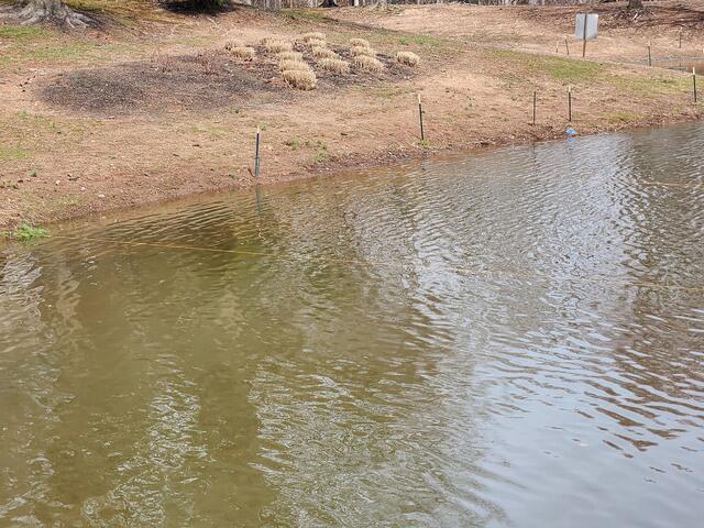 A Physical Bird Deterrent