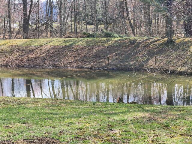 A Solar-Powered Light Scares the Geese