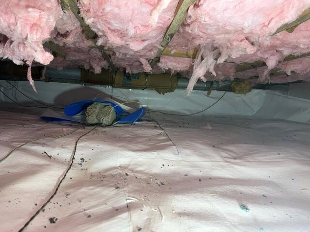 Encapsulation System