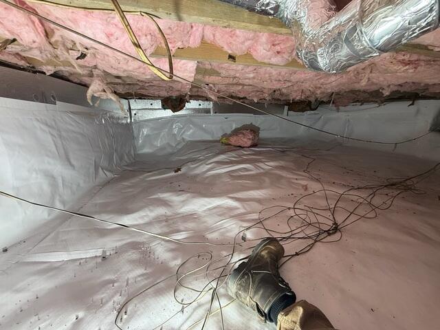 Before Encapsulation