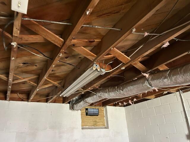 Mold-X treatment