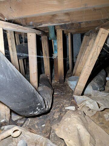 Nasty Crawl Space