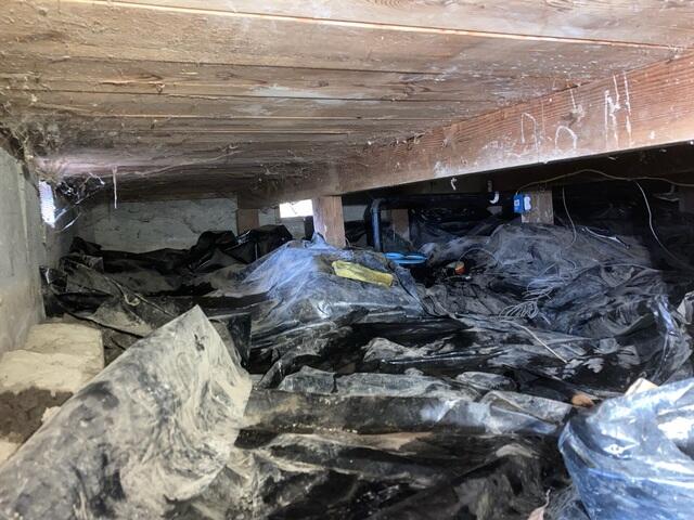 Standing Water In Crawl Space
