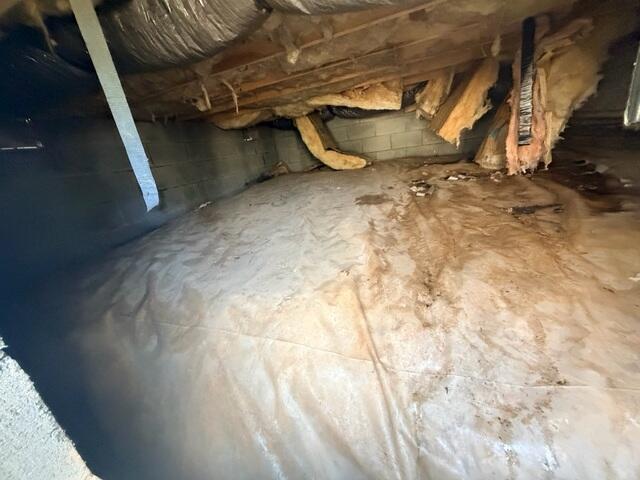 Crawl Space Before