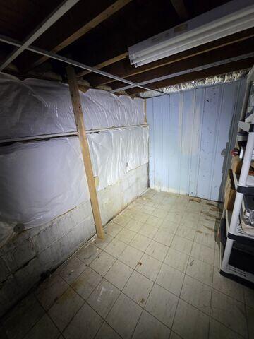 Gross and Damp Basement