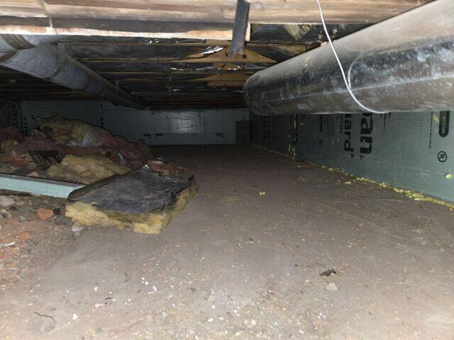 Nasty Crawl Space