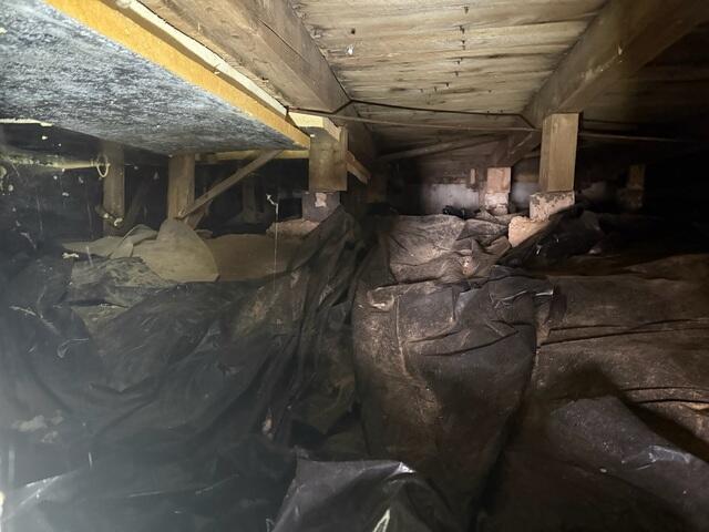 Damp, Musty Crawl Space