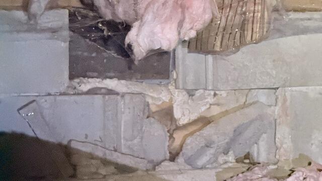 Crawl Space During Inspection