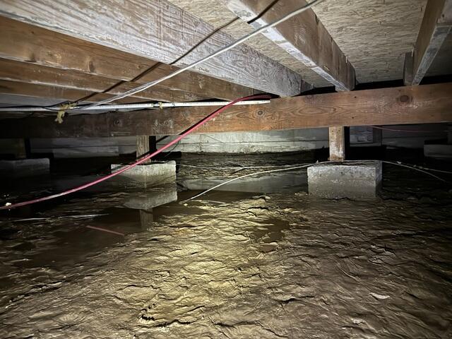 Standing Water and Hanging Electrical Cords