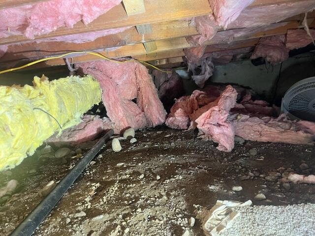A Nasty, Disastrous Crawl Space