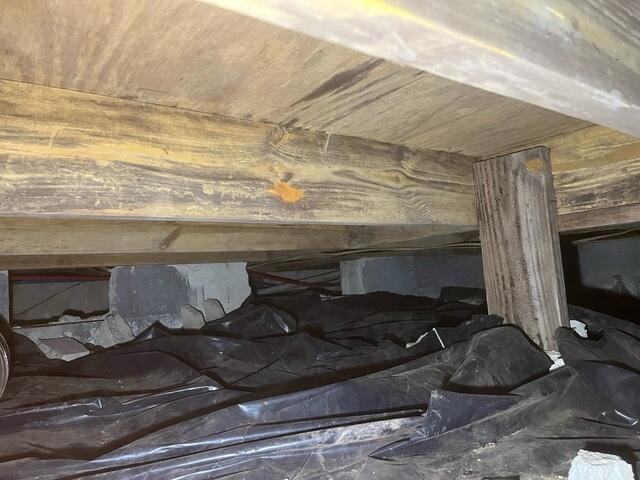 Crawl Space During Inspection