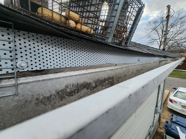 Good Thing About Pest-Blok