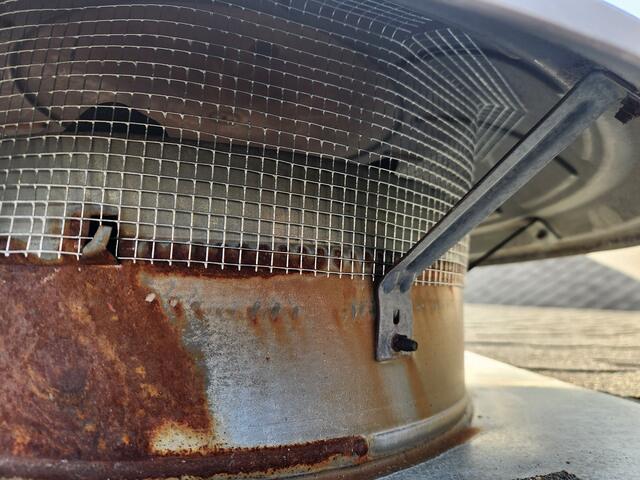 Squirrels Won't Get In