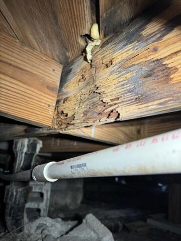 Damaged Floor Joists