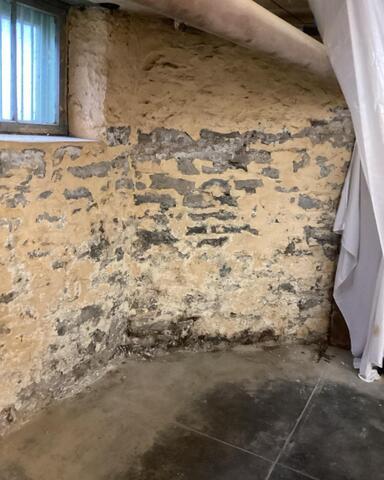 Cracked and Peeling Paint