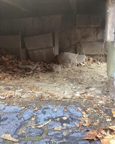 Inside the Crawlspace