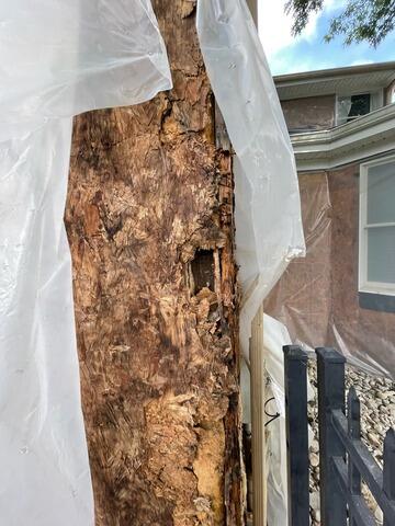 Wood rot from stucco