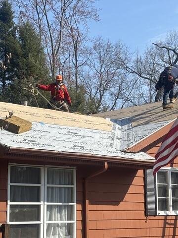 Roof Protection